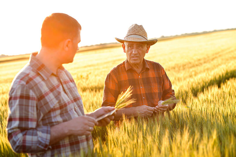 two farmers and their crops in bright sunlight