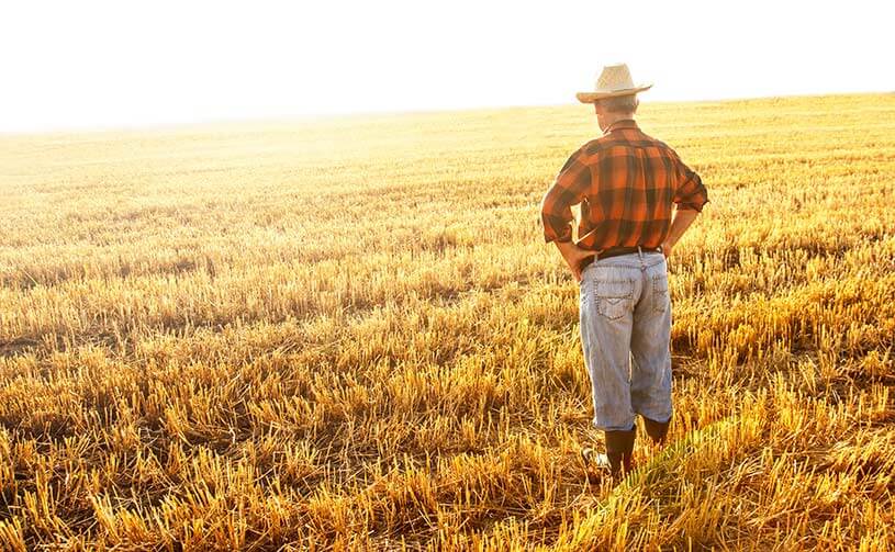 farmer overseeing his farmland